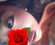 080205_153604_ed.jpg
