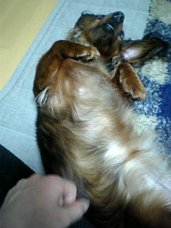 080207_204055.jpg