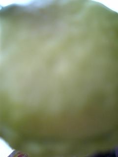 080401_155518.jpg