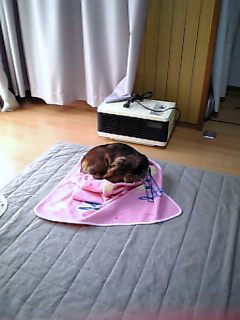 photo.jpg